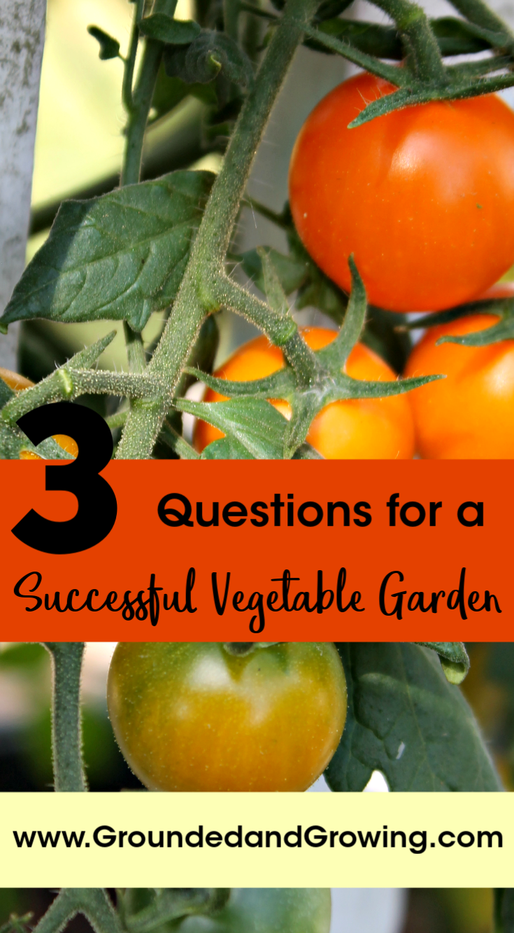 Gardening Quiz Time : Is tomato a fruit or a vegetable? 🍅 #gardening